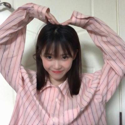 宠物小精灵xy无限钻石版下载